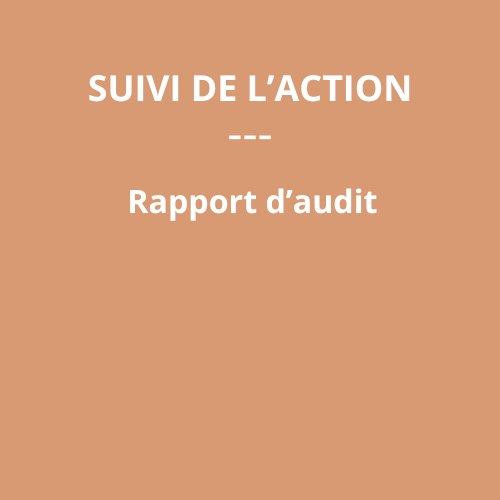 Suivi de l'Action Audit – Exploitant de réseaux Mise en conformité de la cartographie des ouvrages